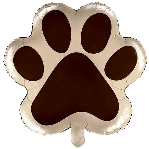 PATİ KARAMEL RENK FOLYO BALON 52*44,5