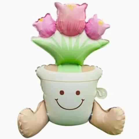 SAKSI FOLYO BALON 56*58,5