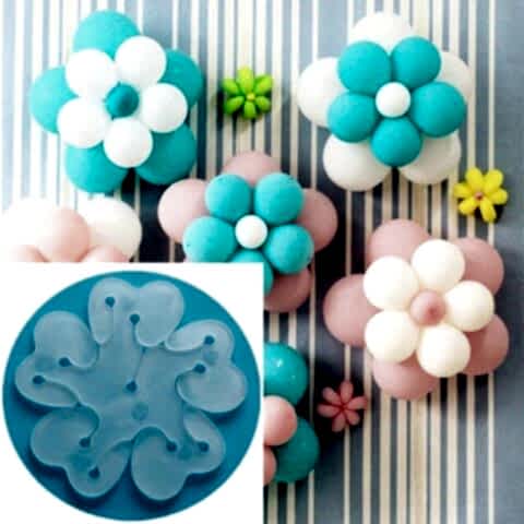 6 LI PAPATYA APARATI